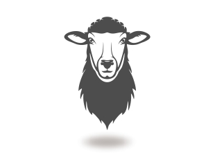 Ovina
